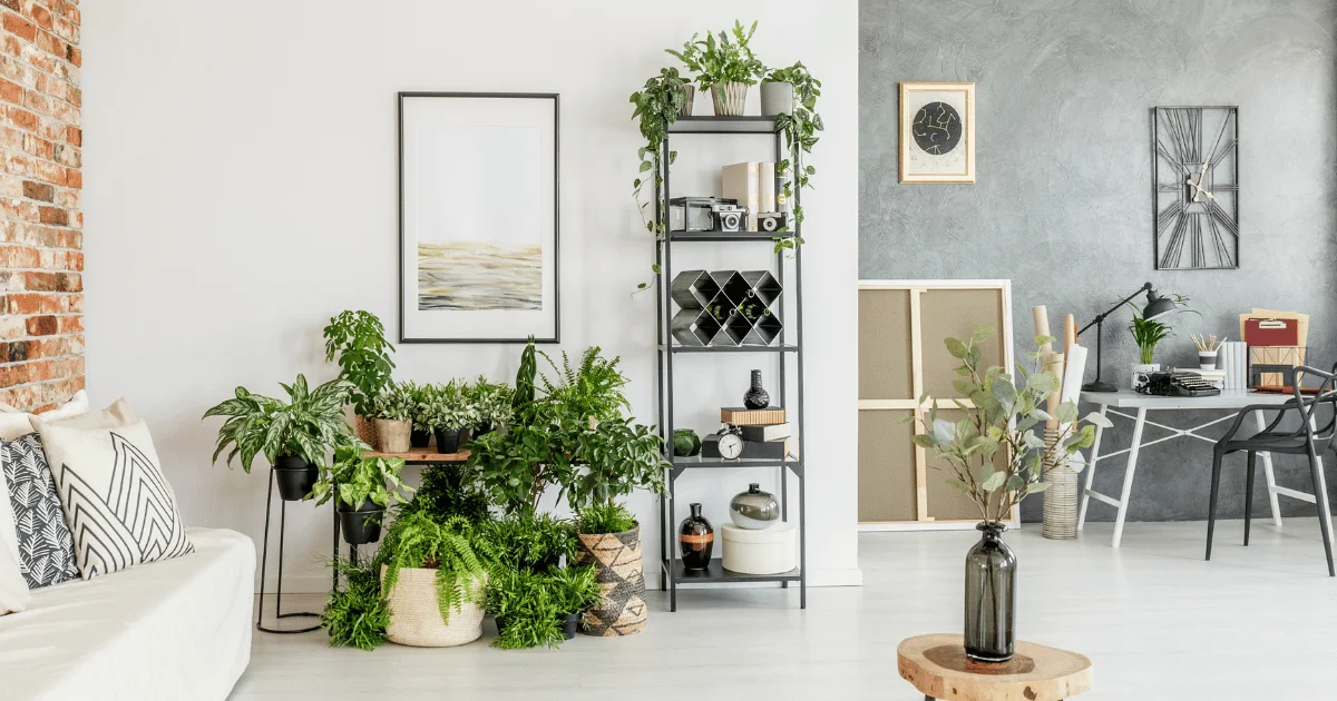 My Houzz: Houseplant-Happy in a Boho-Style D.C. Home - Eclectic - Living  Room - DC Metro - by Hado Photo | Living room plants, Plant decor, Eclectic living  room